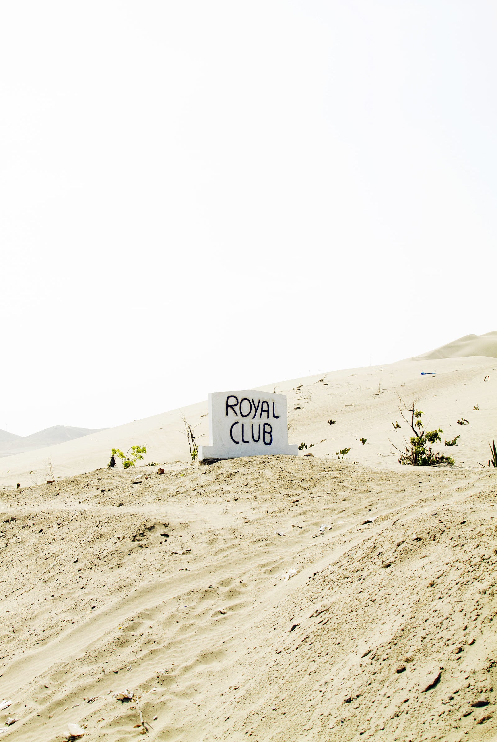 TOUTE LA BEAUTÉ DU MONDE RÉSIDE DANS L’INATTENDU