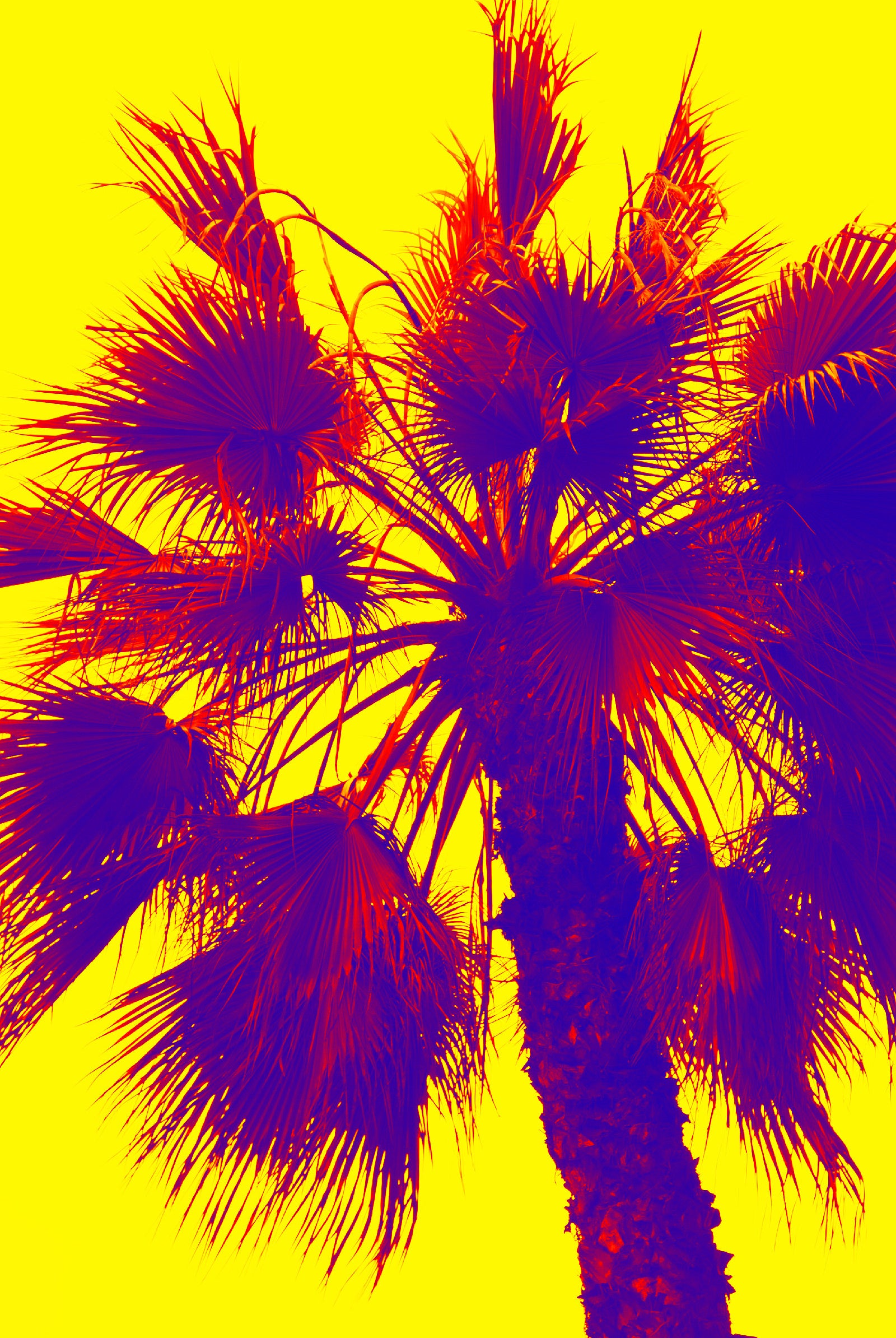 Plamier Lima Pérou couleurs solarisées pop art