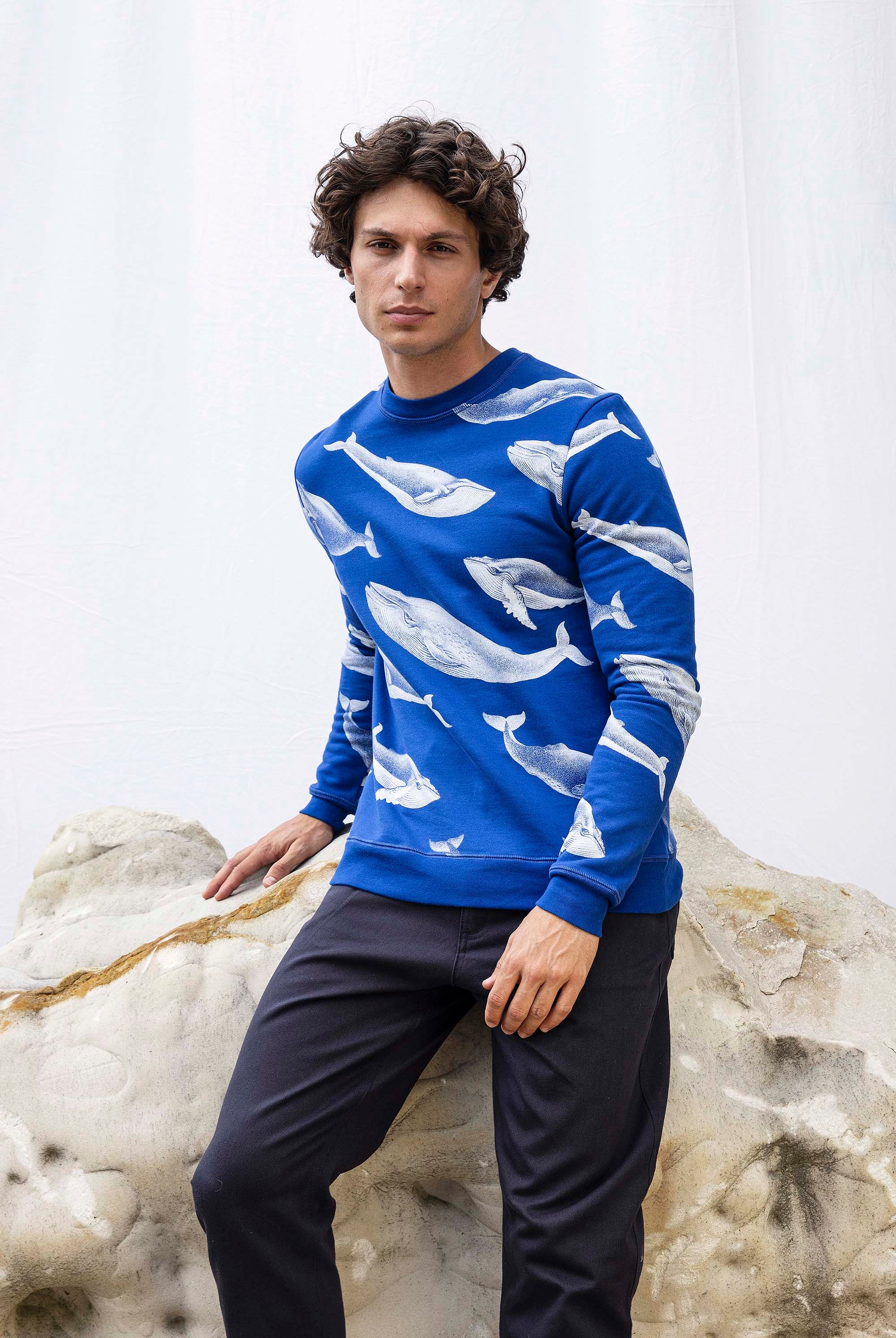 Sweatshirt Macarron Ballena Bleu Saphir douceur et qualité des sweatshirts homme Misericordia