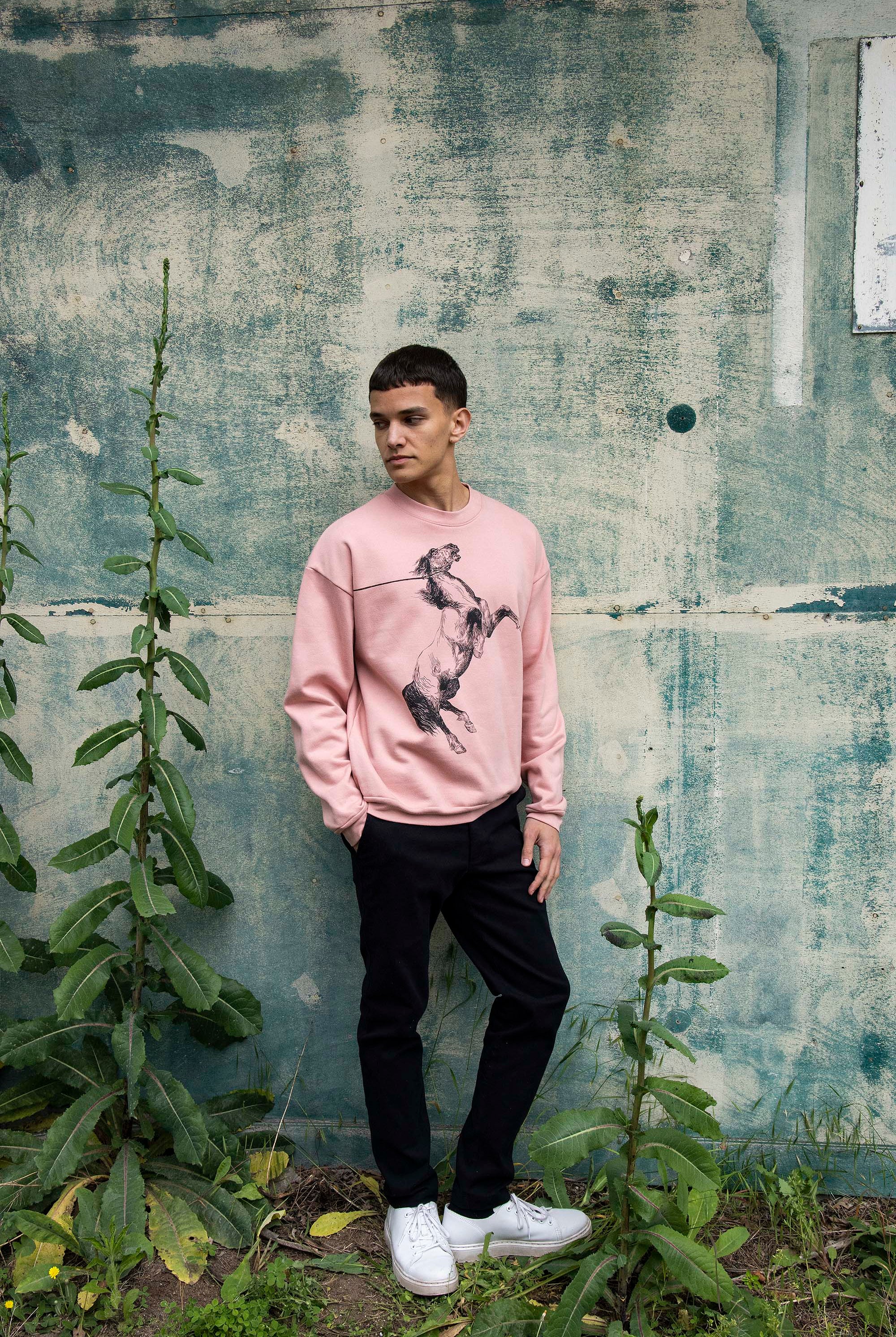 Sweatshirt Angelo Indomable Vieux Rose sweatshirts haut de gamme en imprimés
